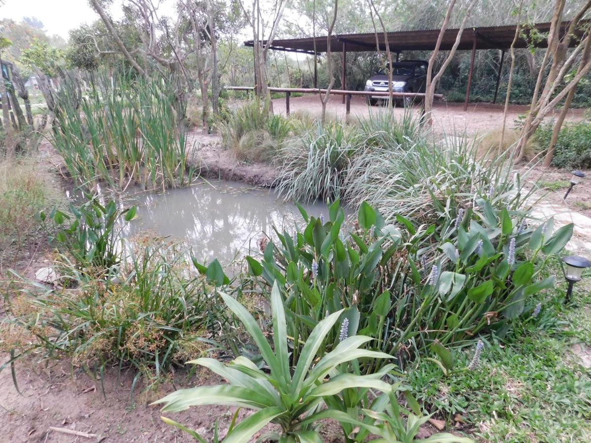 Arandu Ecolodge Colonia Carlos Pellegrini (Corrientes) Exterior foto